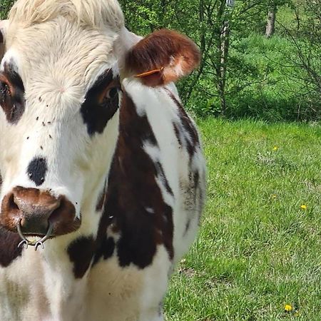 Roulotte A La Ferme Buissonniere Villa La Lande-de-Louge Buitenkant foto