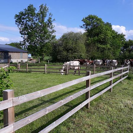 Roulotte A La Ferme Buissonniere Villa La Lande-de-Louge Buitenkant foto