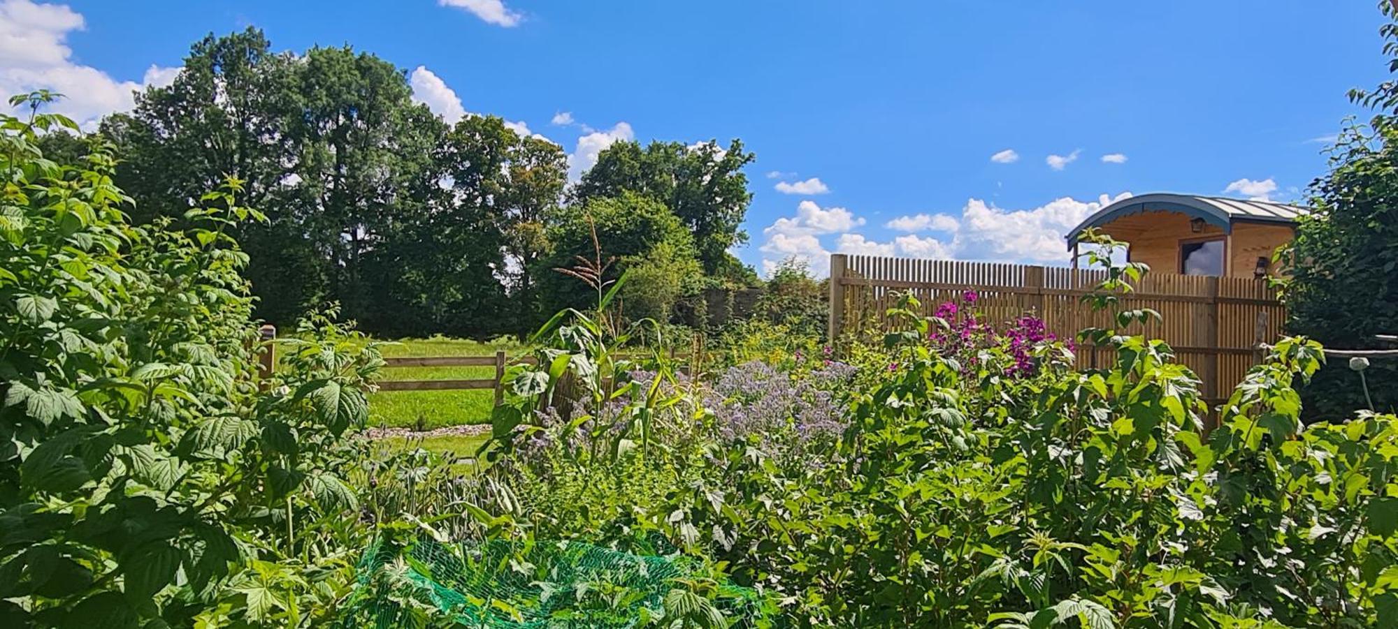 Roulotte A La Ferme Buissonniere Villa La Lande-de-Louge Buitenkant foto