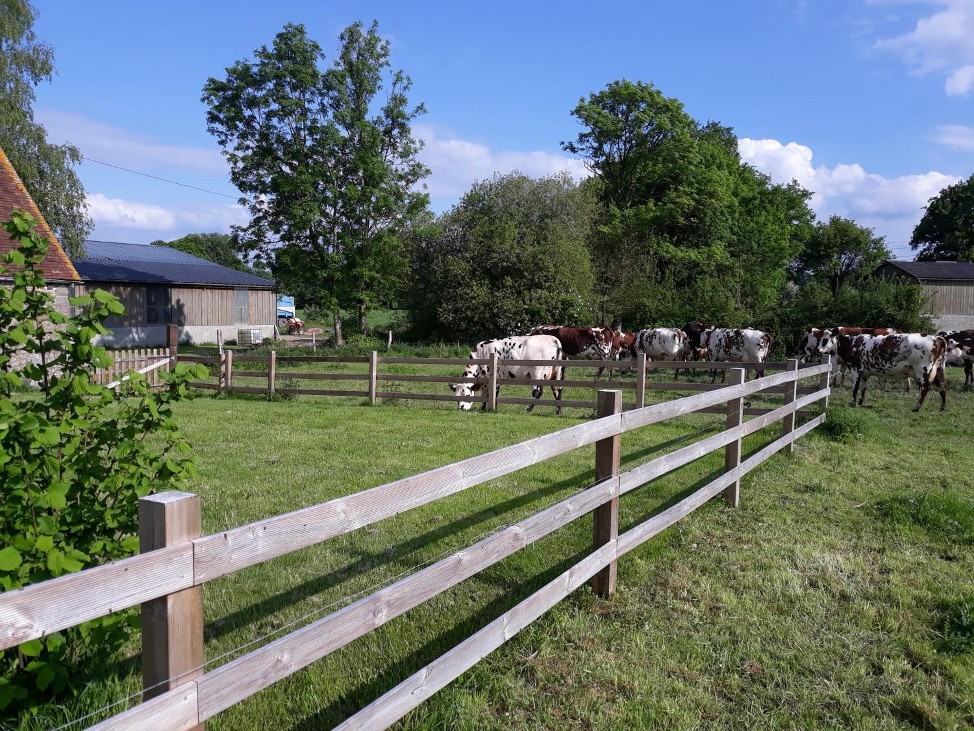 Roulotte A La Ferme Buissonniere Villa La Lande-de-Louge Buitenkant foto